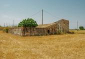 Chalet independiente con terreno en venta en la España, Muro, ref: TR133358 foto