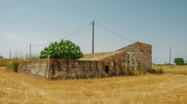 Islas Baleares - Muro - 11809m2