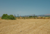 Chalet independiente con terreno en venta en la España, Muro, ref: TR133358 foto