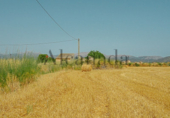 Chalet independiente con terreno en venta en la España, Muro, ref: TR133358 foto