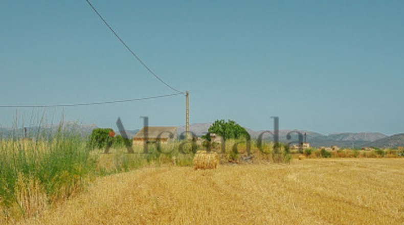 Islas Baleares - Muro - 11809m2