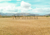 Chalet independiente con terreno en venta en la España, Muro, ref: TR133358 foto