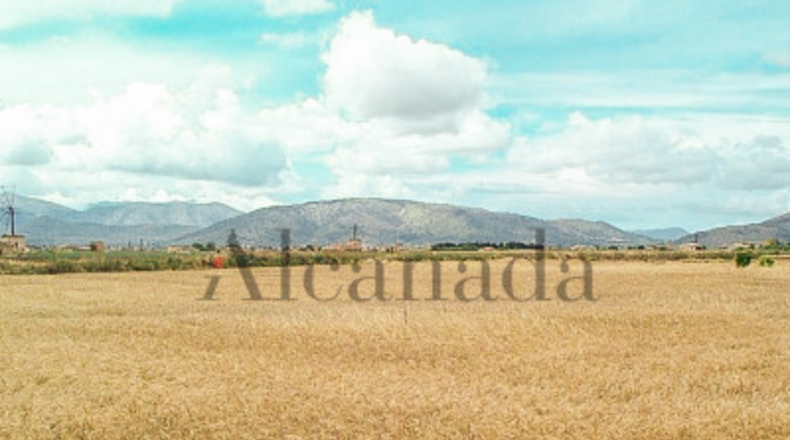 Islas Baleares - Muro - 11809m2