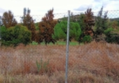 Parcela urbanizable en venta en la España, Cáceres, ref: TR175309 foto