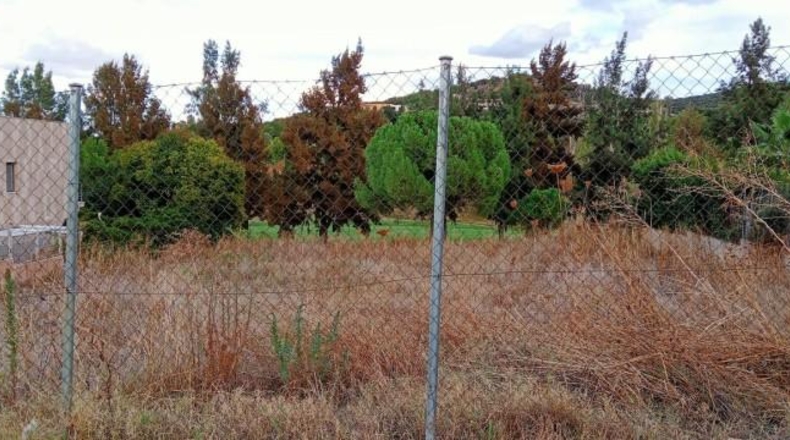 Cáceres - Cáceres - 1000m2