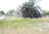 Suelo urbano en venta en la España, Oliva, ref: TR129967 foto