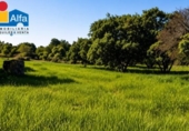 Non-developable land for sale on España, Aldea del Cano, ref: TR390643 photo