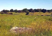 Non-developable land for sale on España, Aldea del Cano, ref: TR390643 photo