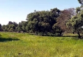 Non-developable land for sale on España, Aldea del Cano, ref: TR390643 photo
