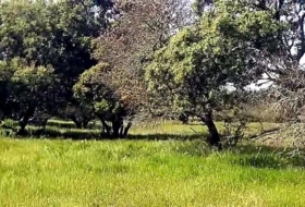 Aldea del Cano 250000&nbsp;m²