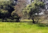 Non-developable land for sale on España, Aldea del Cano, ref: TR390643 photo