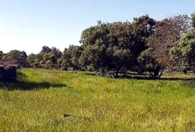 Aldea del Cano 250000&nbsp;m²