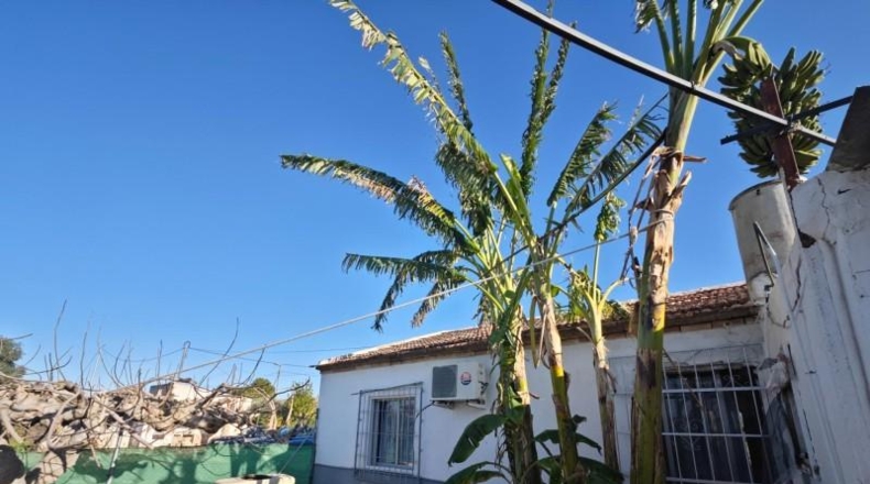 Valencia - Beniatjar - 1650m2