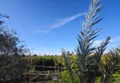 Country house with land for sale on España, Murcia, ref: TR398062 photo