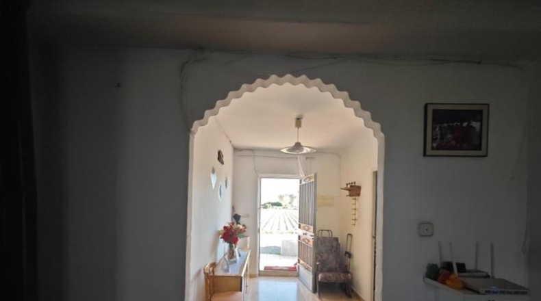 Valencia - Beniatjar - 1650m2