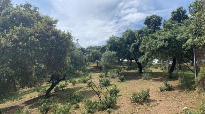 Кордова - Córdoba - 3143m2