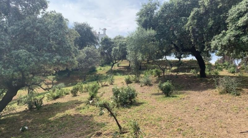 Кордова - Córdoba - 3143m2