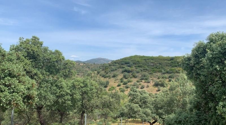 Кордова - Córdoba - 3143m2
