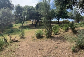 Córdoba 3143&nbsp;m²