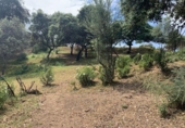 Parcel·la urbanitzable en venda a la España, Còrdova, ref.: TR405688 foto