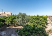 Detached villa with land for sale on España, Callosa de Segura, ref: TR409708 photo