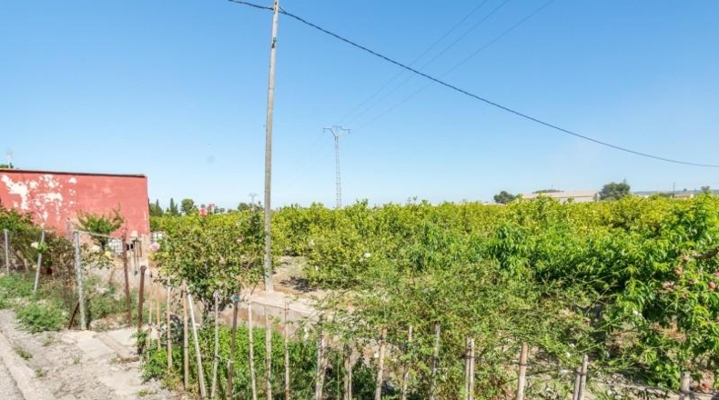Аликанте - Callosa de Segura - 1450m2