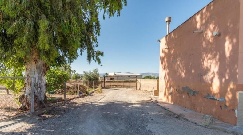 Аликанте - Callosa de Segura - 1450m2