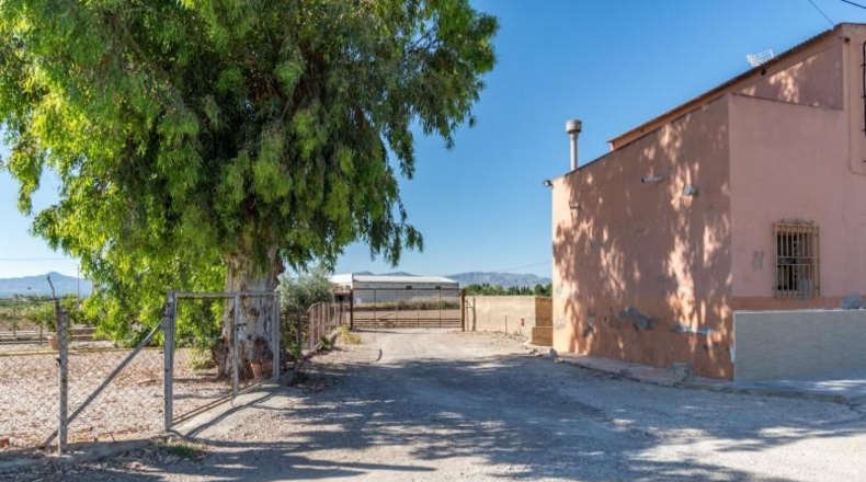 Аликанте - Callosa de Segura - 1450m2