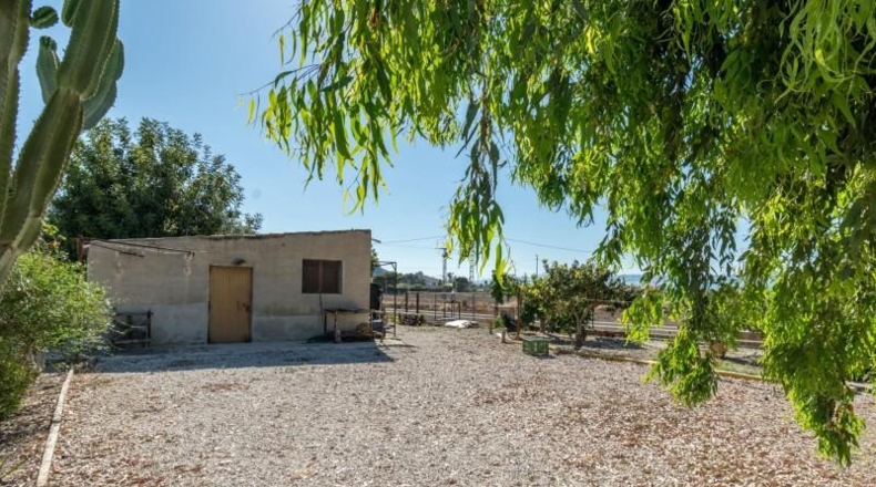 Аликанте - Callosa de Segura - 1450m2