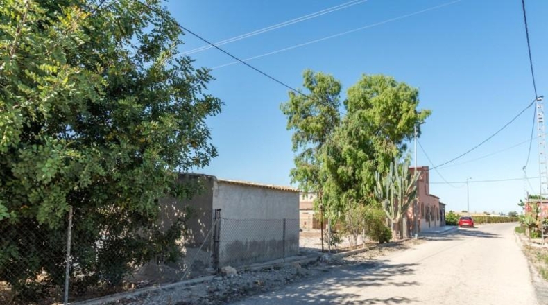 Аликанте - Callosa de Segura - 1450m2