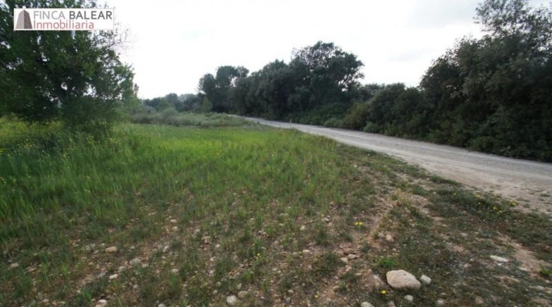 Valencia - Albaida - 13908m2