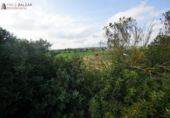 Terreno no urbanizable en venta en la España, Algaida, ref: TR397157 foto