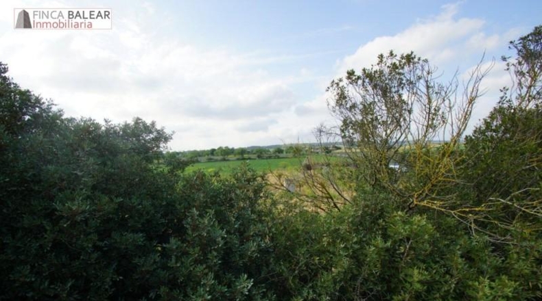 Valencia - Albaida - 13908m2