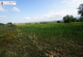 Terreno no urbanizable en venta en la España, Algaida, ref: TR397157 foto