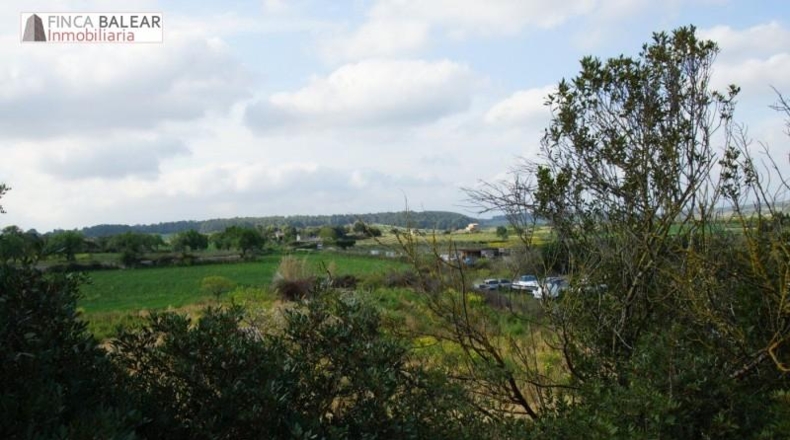 Valencia - Albaida - 13908m2