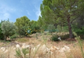 Terreno no urbanizable en venta en la España, Gandia, ref: TR328441 foto