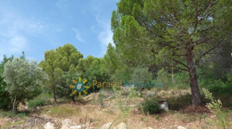 Valencia - Real de Gandía - 22000m2