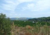 Terreno no urbanizable en venta en la España, Gandia, ref: TR328441 foto
