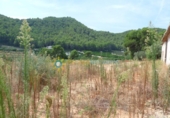 Terreno no urbanizable en venta en la España, Gandia, ref: TR328441 foto