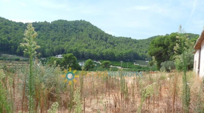Valencia - Real de Gandía - 22000m2