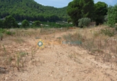 Terreno no urbanizable en venta en la España, Gandia, ref: TR328441 foto
