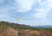 Terreno no urbanizable en venta en la España, Gandia, ref: TR328441 foto