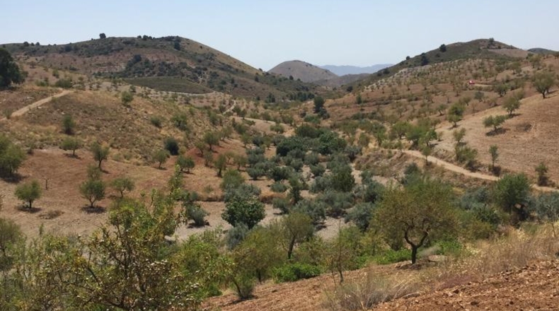 Murcia - Lorca - 239m2