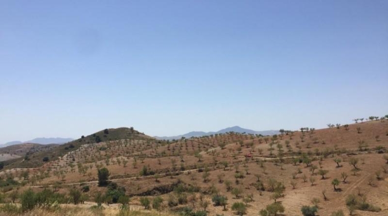 Murcia - Lorca - 239m2