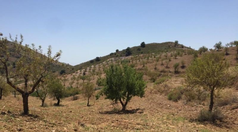 Murcia - Lorca - 239m2