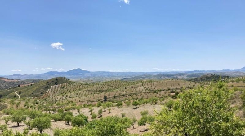 Murcia - Lorca - 239m2