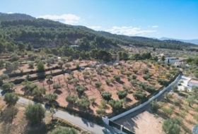 Ibi 10035&nbsp;m²