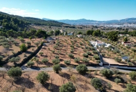 Ibi 10035&nbsp;m²