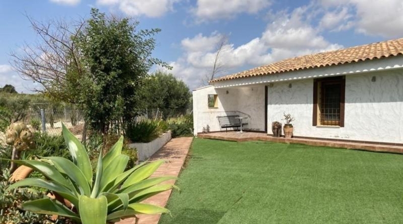 Murcia - Ricote - 7000m2