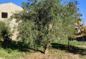 Country house with land for sale on España, Alguazas, ref: TR161764 photo